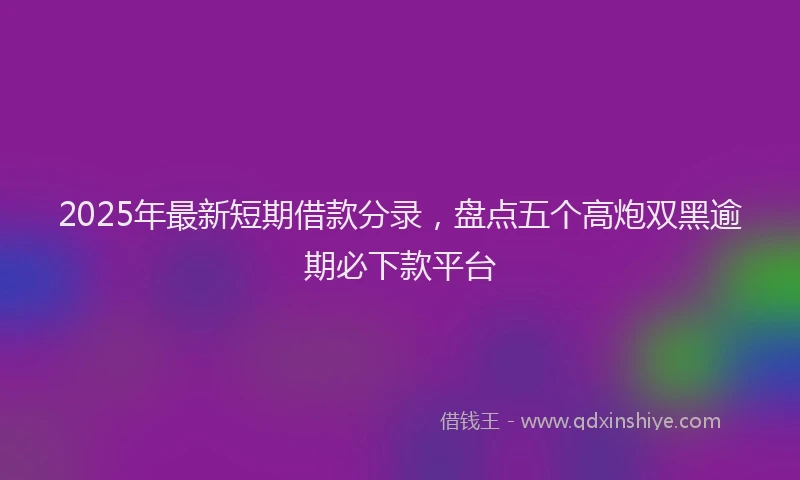 2025年最新短期借款分录，盘点五个高炮双黑逾期必下款平台
