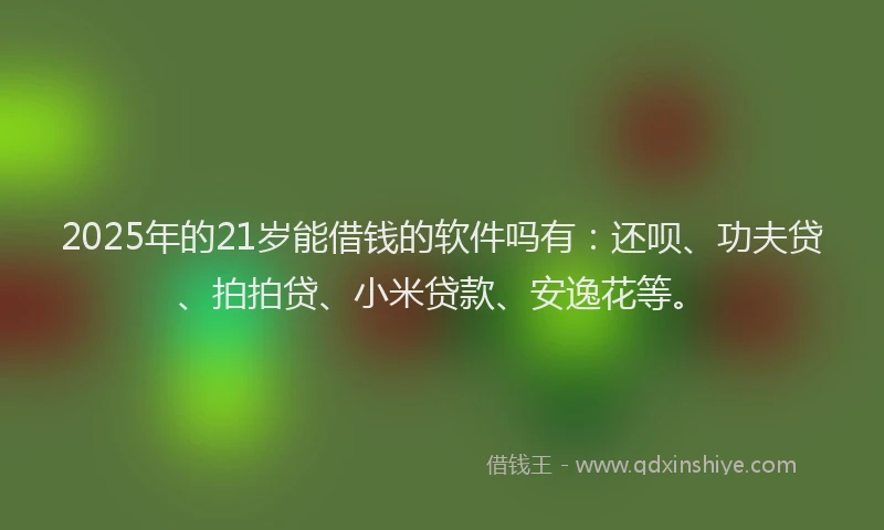 2025年的21岁能借钱的软件吗有：还呗、功夫贷、拍拍贷、小米贷款、安逸花等。