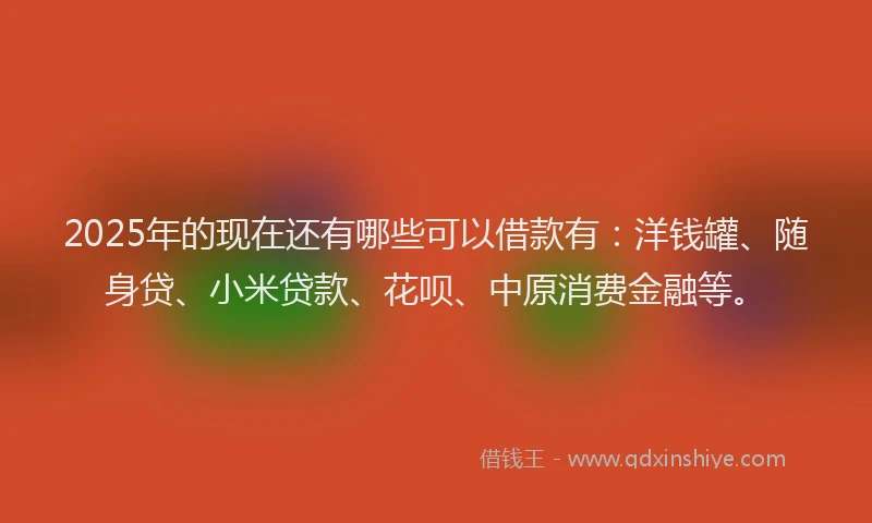 2025年的现在还有哪些可以借款有：洋钱罐、随身贷、小米贷款、花呗、中原消费金融等。
