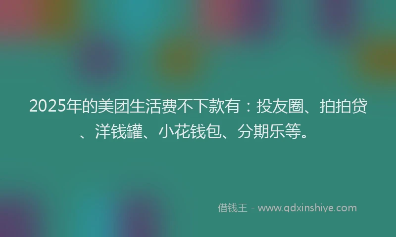 2025年的美团生活费不下款有：投友圈、拍拍贷、洋钱罐、小花钱包、分期乐等。