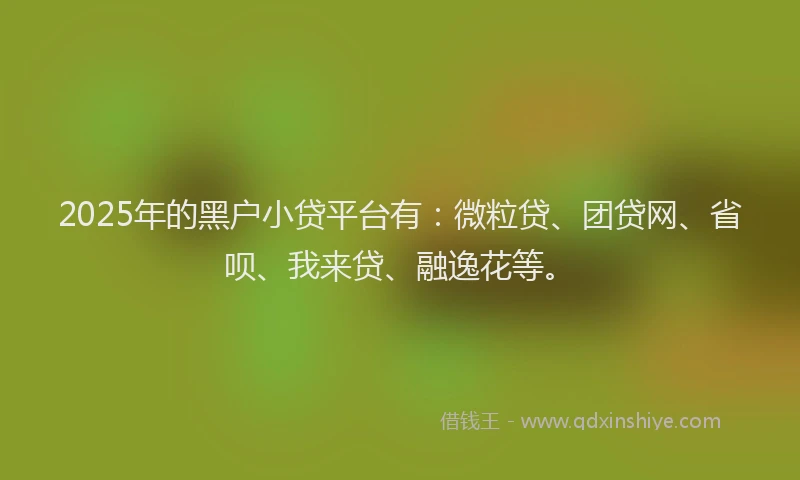 2025年的黑户小贷平台有：微粒贷、团贷网、省呗、我来贷、融逸花等。