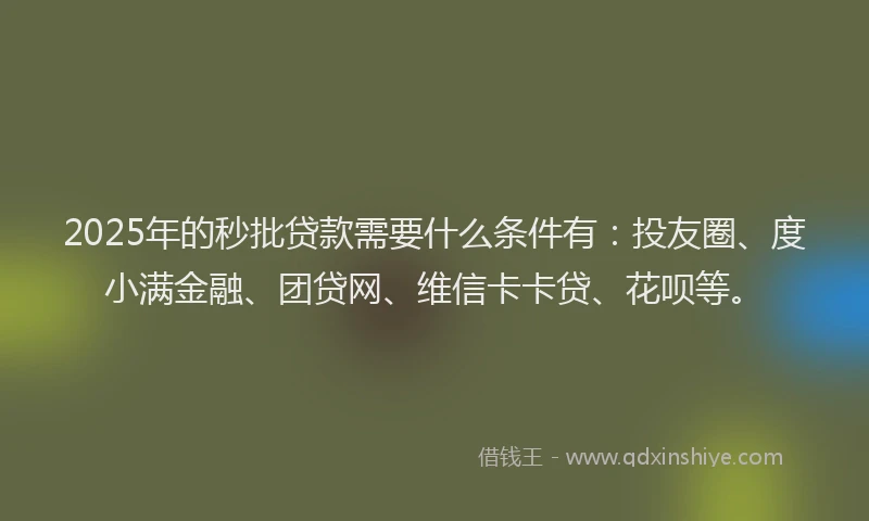 2025年的秒批贷款需要什么条件有：投友圈、度小满金融、团贷网、维信卡卡贷、花呗等。
