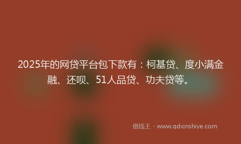 2025年的网贷平台包下款有：柯基贷、度小满金融、还呗、51人品贷、功夫贷等。