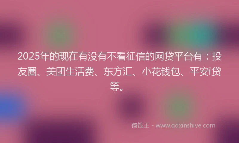 2025年的现在有没有不看征信的网贷平台有：投友圈、美团生活费、东方汇、小花钱包、平安i贷等。