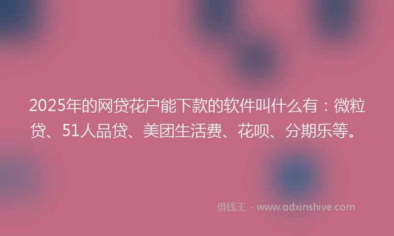 2025年的网贷花户能下款的软件叫什么有：微粒贷、51人品贷、美团生活费、花呗、分期乐等。