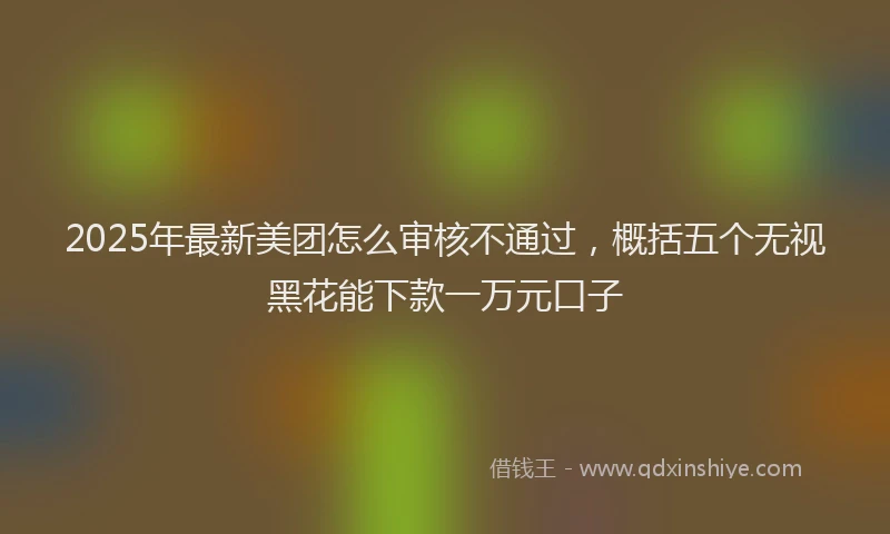 2025年最新美团怎么审核不通过，概括五个无视黑花能下款一万元口子