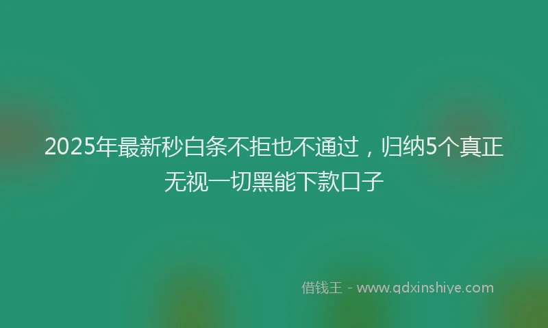 2025年最新秒白条不拒也不通过，归纳5个真正无视一切黑能下款口子
