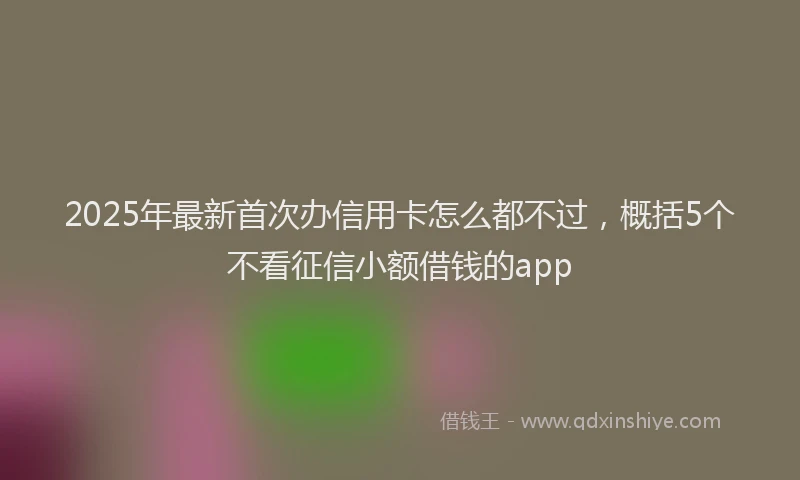 2025年最新首次办信用卡怎么都不过，概括5个不看征信小额借钱的app