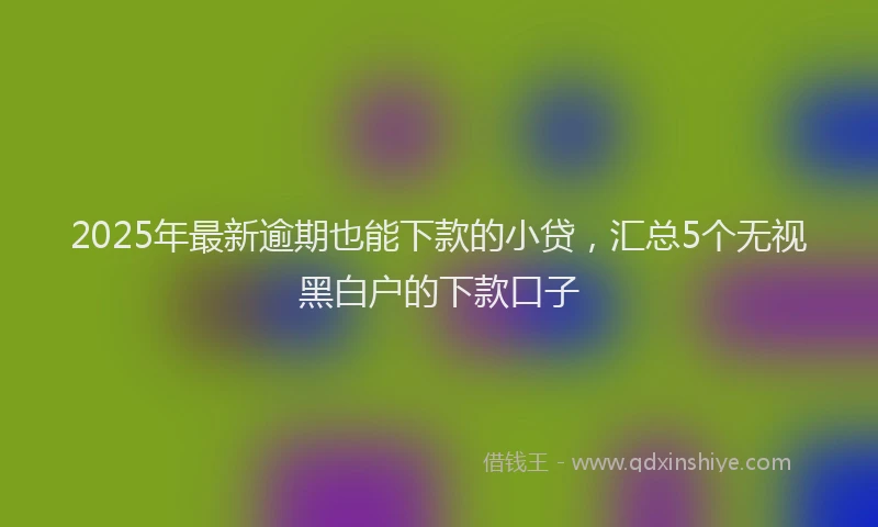 2025年最新逾期也能下款的小贷，汇总5个无视黑白户的下款口子