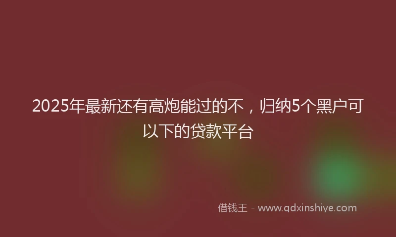 2025年最新还有高炮能过的不，归纳5个黑户可以下的贷款平台