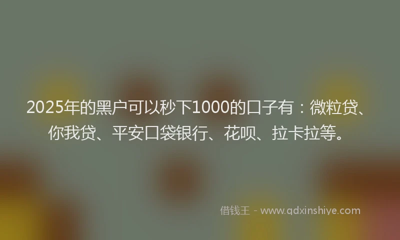 2025年的黑户可以秒下1000的口子有：微粒贷、你我贷、平安口袋银行、花呗、拉卡拉等。