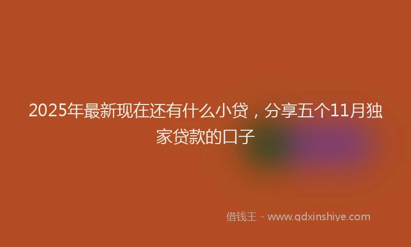 2025年最新现在还有什么小贷，分享五个11月独家贷款的口子