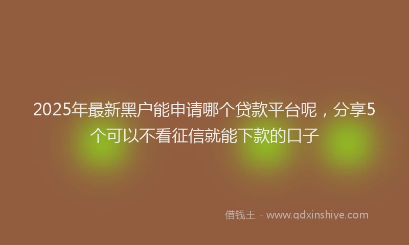 2025年最新黑户能申请哪个贷款平台呢，分享5个可以不看征信就能下款的口子