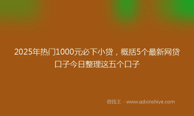 2025年热门1000元必下小贷，概括5个最新网贷口子今日整理这五个口子