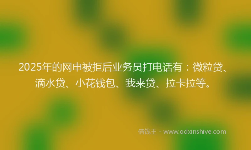 2025年的网申被拒后业务员打电话有：微粒贷、滴水贷、小花钱包、我来贷、拉卡拉等。