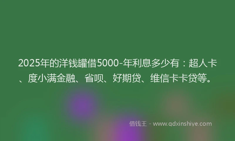 2025年的洋钱罐借5000-年利息多少有：超人卡、度小满金融、省呗、好期贷、维信卡卡贷等。