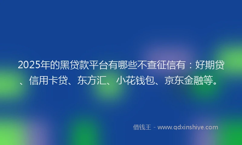 2025年的黑贷款平台有哪些不查征信有：好期贷、信用卡贷、东方汇、小花钱包、京东金融等。