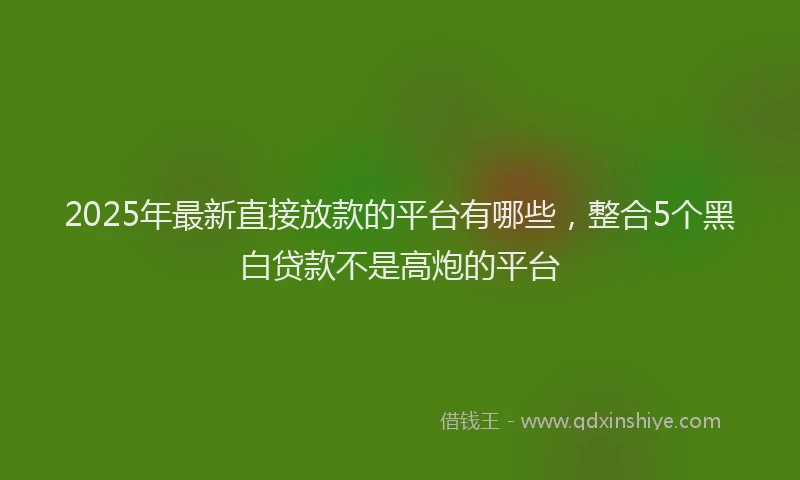 2025年最新直接放款的平台有哪些，整合5个黑白贷款不是高炮的平台