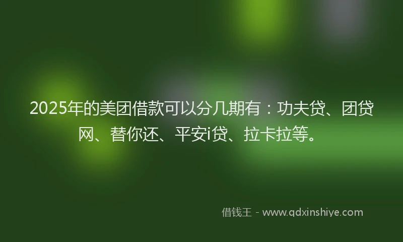 2025年的美团借款可以分几期有：功夫贷、团贷网、替你还、平安i贷、拉卡拉等。