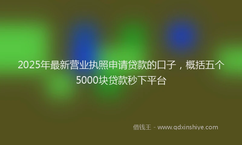 2025年最新营业执照申请贷款的口子，概括五个5000块贷款秒下平台