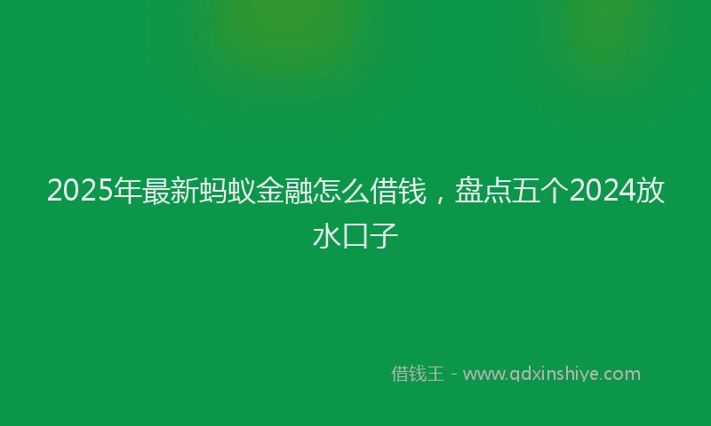 2025年最新蚂蚁金融怎么借钱，盘点五个2024放水口子