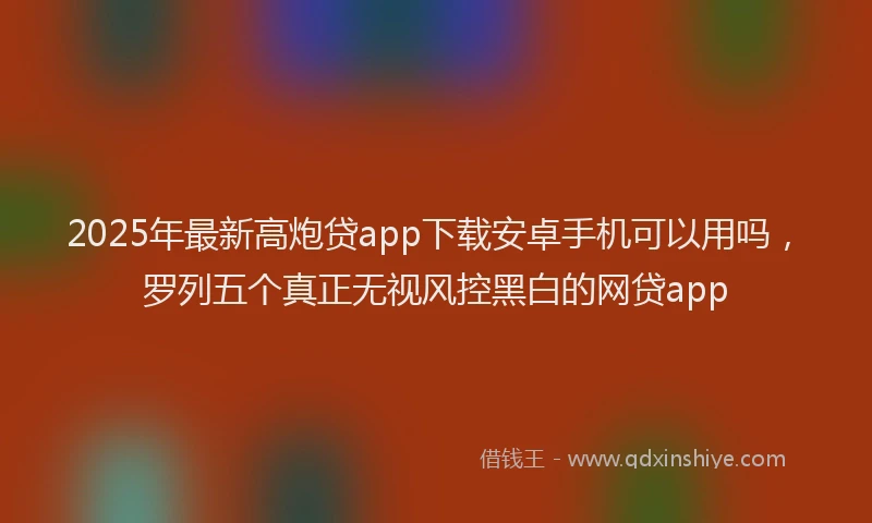 2025年最新高炮贷app下载安卓手机可以用吗，罗列五个真正无视风控黑白的网贷app