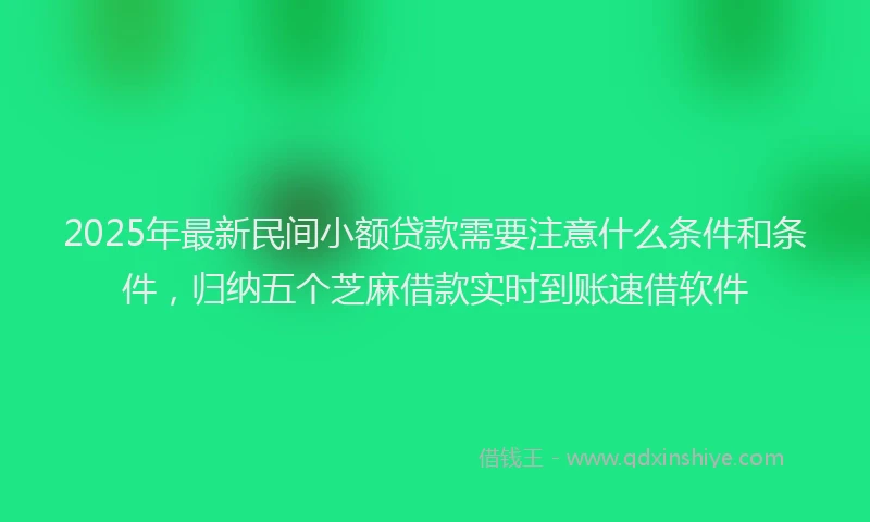 2025年最新民间小额贷款需要注意什么条件和条件，归纳五个芝麻借款实时到账速借软件