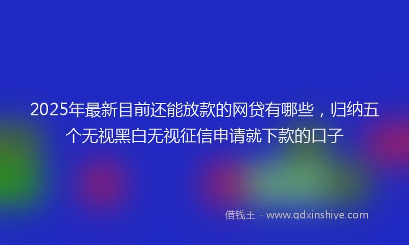 2025年最新目前还能放款的网贷有哪些，归纳五个无视黑白无视征信申请就下款的口子