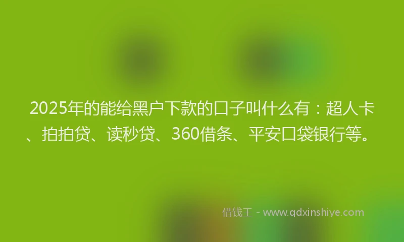 2025年的能给黑户下款的口子叫什么有：超人卡、拍拍贷、读秒贷、360借条、平安口袋银行等。