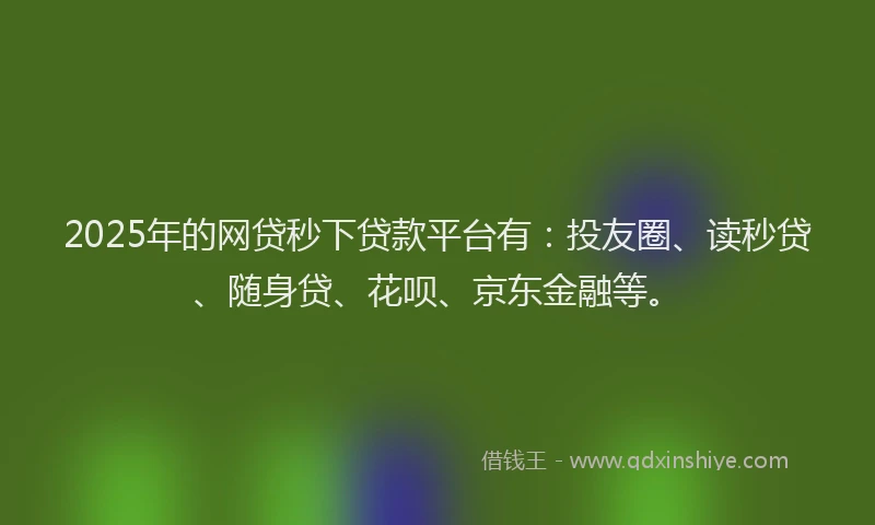 2025年的网贷秒下贷款平台有：投友圈、读秒贷、随身贷、花呗、京东金融等。