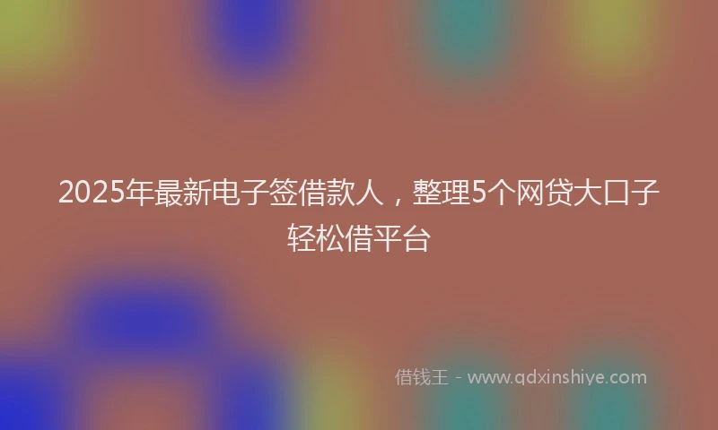 2025年最新电子签借款人，整理5个网贷大口子轻松借平台