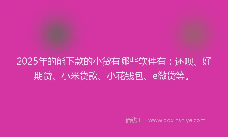 2025年的能下款的小贷有哪些软件有：还呗、好期贷、小米贷款、小花钱包、e微贷等。
