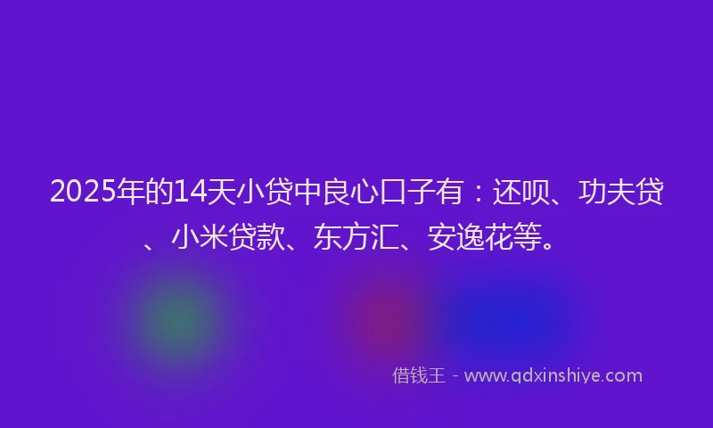 2025年的14天小贷中良心口子有：还呗、功夫贷、小米贷款、东方汇、安逸花等。