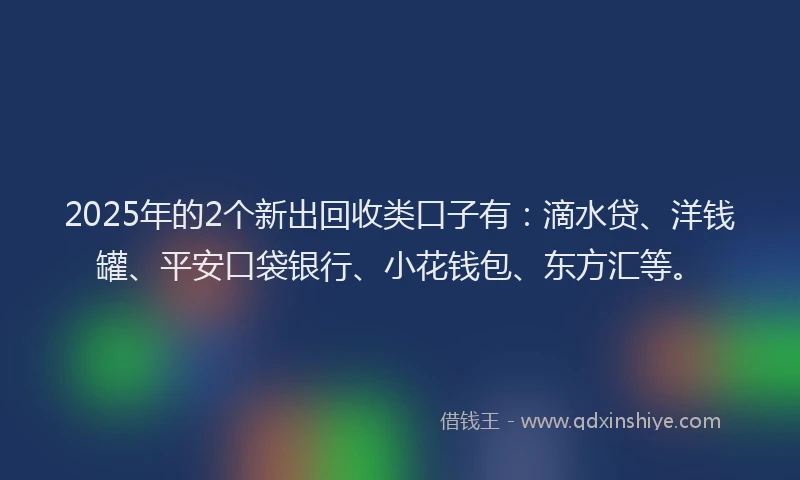 2025年的2个新出回收类口子有：滴水贷、洋钱罐、平安口袋银行、小花钱包、东方汇等。