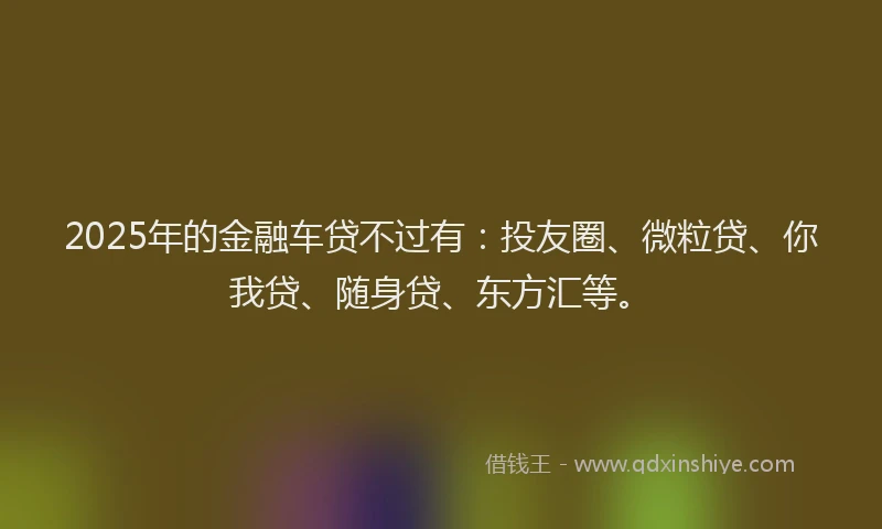 2025年的金融车贷不过有：投友圈、微粒贷、你我贷、随身贷、东方汇等。