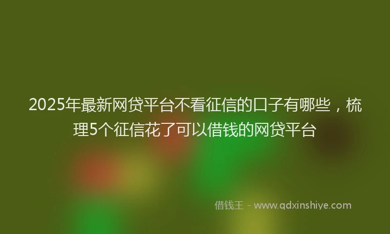 2025年最新网贷平台不看征信的口子有哪些，梳理5个征信花了可以借钱的网贷平台