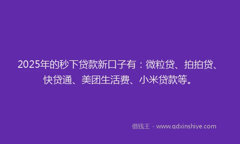 2025年的秒下贷款新口子有：微粒贷、拍拍贷、快贷通、美团生活费、小米贷款等。
