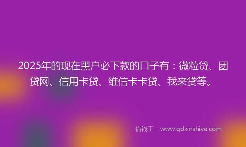 2025年的现在黑户必下款的口子有：微粒贷、团贷网、信用卡贷、维信卡卡贷、我来贷等。