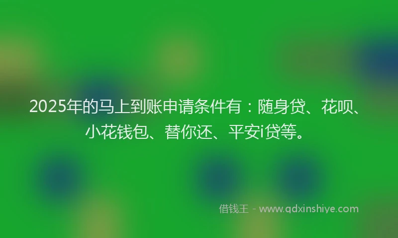 2025年的马上到账申请条件有：随身贷、花呗、小花钱包、替你还、平安i贷等。