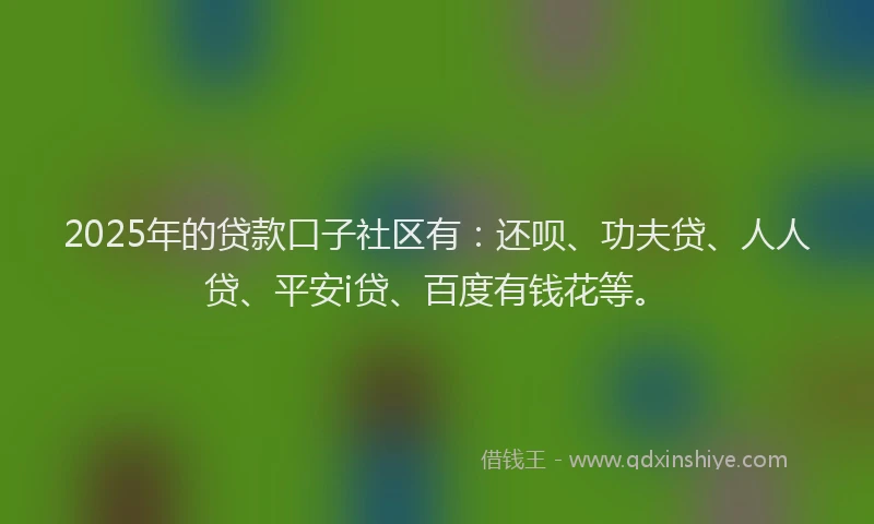 2025年的贷款口子社区有：还呗、功夫贷、人人贷、平安i贷、百度有钱花等。