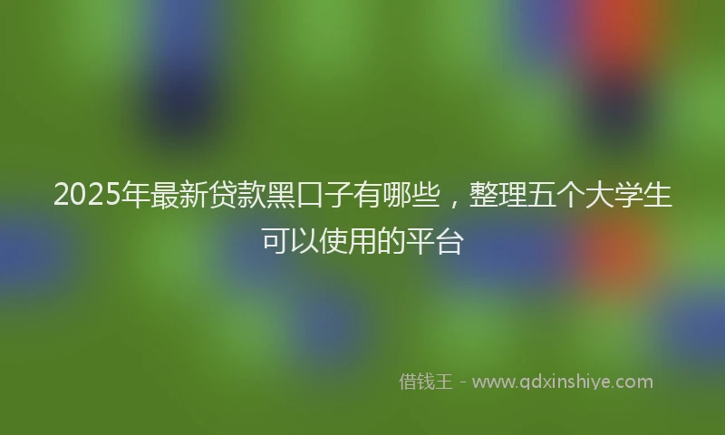2025年最新贷款黑口子有哪些，整理五个大学生可以使用的平台