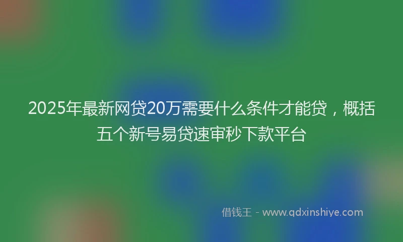 2025年最新网贷20万需要什么条件才能贷，概括五个新号易贷速审秒下款平台