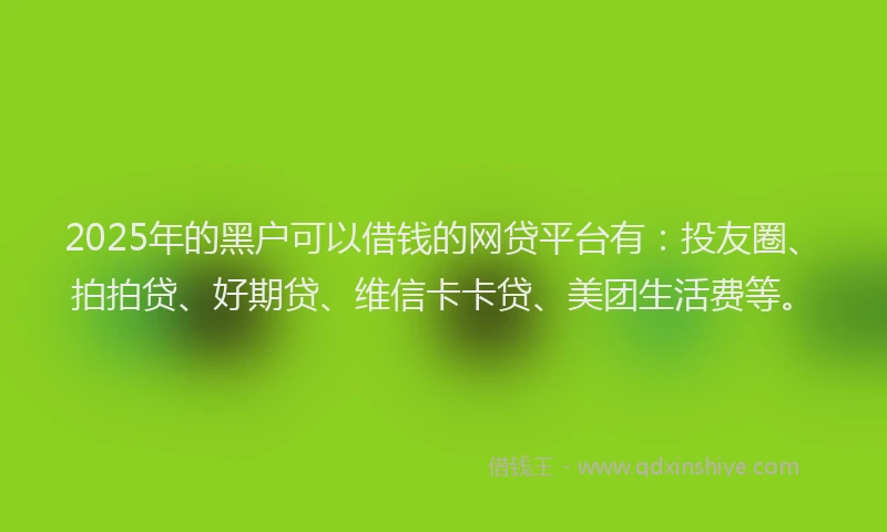 2025年的黑户可以借钱的网贷平台有：投友圈、拍拍贷、好期贷、维信卡卡贷、美团生活费等。