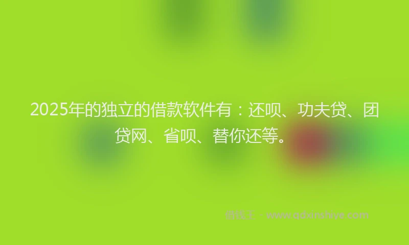 2025年的独立的借款软件有：还呗、功夫贷、团贷网、省呗、替你还等。