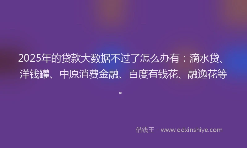 2025年的贷款大数据不过了怎么办有：滴水贷、洋钱罐、中原消费金融、百度有钱花、融逸花等。