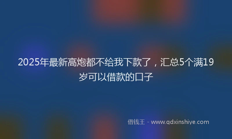 2025年最新高炮都不给我下款了，汇总5个满19岁可以借款的口子
