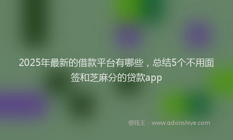 2025年最新的借款平台有哪些，总结5个不用面签和芝麻分的贷款app