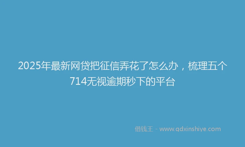 2025年最新网贷把征信弄花了怎么办，梳理五个714无视逾期秒下的平台