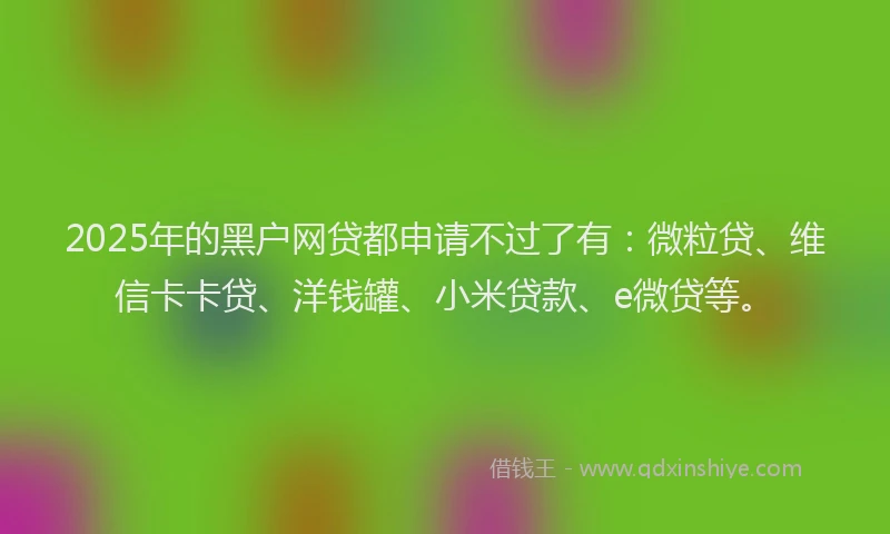 2025年的黑户网贷都申请不过了有：微粒贷、维信卡卡贷、洋钱罐、小米贷款、e微贷等。