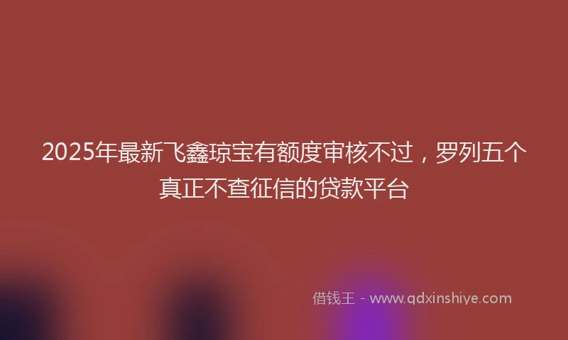 2025年最新飞鑫琼宝有额度审核不过，罗列五个真正不查征信的贷款平台